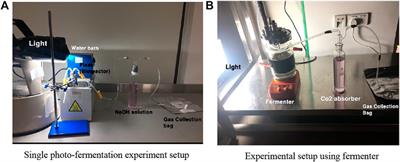 Bio-Hydrogen Production Using Landfill Leachate Considering Different Photo-Fermentation Processes